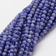 Natural Sodalite Beads Strands, Round, 2mm, Hole: 0.5mm, about 190pcs/strand(G-N0203-01-2mm)