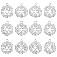 12Pcs Brass Charms, Flat Round with Snowflake, Real Platinum Plated, 14x12x1mm, Hole: 1mm(KK-BC0012-33)