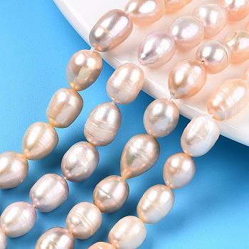 Natural Cultured Freshwater Pearl Beads Strands, Rice, Wheat, 9~11.5x8~8.5mm, Hole: 0.7~0.8mm, about 34~35pcs/strand, 13.78 inch(35cm)