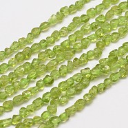 Natural Peridot Bead Strands, Nuggets, 4~5x5~7mm, Hole: 1mm, about 97pcs/strand, 15.3 inch(G-D803-25)