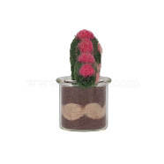 Succulent Plant Display Decoration Needle Felting Kit, with Iron Needles, Foam Chassis, Wool & Glass Cup, Mixed Color, 25~99x2~79x2~25mm(DIY-D064-06P)