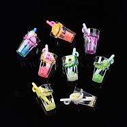 Imitation Fruit Tea Resin Pendants, Noctilucent Powder & Polymer Clay inside, with Acrylic Cup, Mixed Pattern, 25~28.5x12.5mm, Hole: 1.8mm(CRES-S359-31)