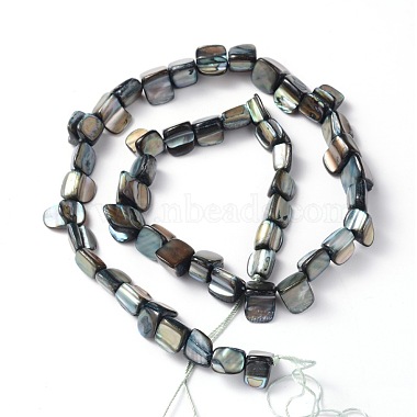 Erose Natural Shell Beads Strands(X-PBB070Y)-2