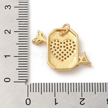 Rack Plating Brass Micro Pave Cubic Zirconia Pendants(KK-A190-16G)-3