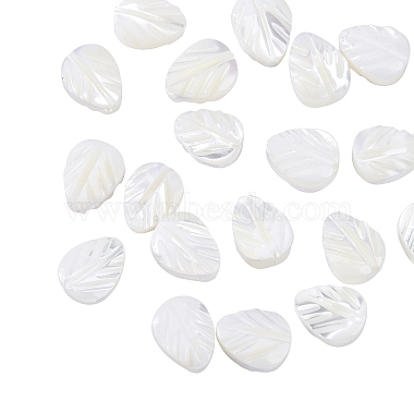 Natural Shell Beads Strands(SSHEL-CJ0001-08)-4