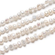 Natural Cultured Freshwater Pearl Beads Strands, Two Sides Polished, Nuggets, Antique White, 3.5~4.5x2.5~3x3~3.5mm, Hole: 0.5mm, about 48pcs/strand, 6.61 inch(16.8cm)(X-PEAR-I004-08C)