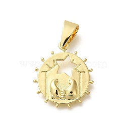 Rack Plating Brass with Cubic Zirconia Pendants, Long-Lasting Plated, Lead Free & Cadmium Free, Flat Round & Star Charms, Real 18K Gold Plated, 23.5x20.5x3mm, Hole: 4.2mm(KK-Z086-59G)