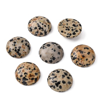 Gemstone Cabochons, Half Round/Dome, Dalmatian Jasper, 18x7mm