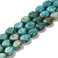 Natural Dolomite Beads Strands, Dyed, Flat Oval, Light Sea Green, 9.5~10x7.5~8x4.5mm, Hole: 1.2mm, about 42~44pcs/strand, 15.35~15.94 inch(39~40.5cm)(G-F765-K03-01)