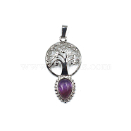 Natural Amethyst Teardrop Pendants, Tree of Life Charms with Platinum Plated Metal Findings, 49x26mm(FIND-PW0025-07P-27)