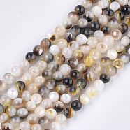Black Lip Shell Beads Strands, Round, Black, 5mm, Hole: 0.8mm, about 77pcs/strand, 14.9 inch(SHEL-S274-92C)