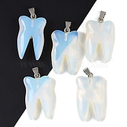 Opalite Pendants, Tooth Charms with Stainless Steel Color Stainless Steel Findings, 39.5~40x19~19.5x8~8.5mm, Hole: 3.5x6.5mm(G-G115-01D)