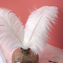 Ostrich Feather Ornament Accessories, for DIY Photo Props, Backdrop Craft, White, 300~350mm(FEAT-PW0001-005D)