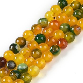 Natural Striped Agate/Banded Agate Beads Strands, Dyed, Round, Gold, 6mm, Hole: 0.8mm, about 32pcs/strand, 7.60''(19.3cm)