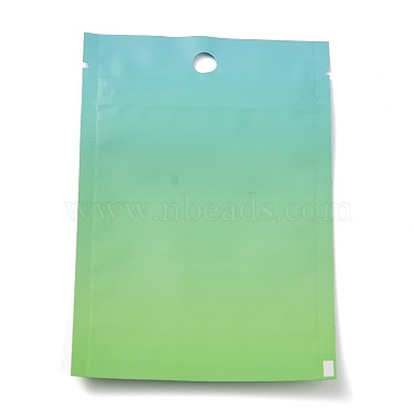 bolsa de plástico con cierre de cremallera(OPP-H001-01A-01)-2