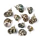 Electroplate Natural Sea Shell Pendants(SSHEL-T018-02)-1