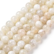 Natural White Moonstone Beads Strands, Round, 10mm, Hole: 0.8mm, about 38pcs/strand, 15.55 inch(39.5cm)(G-F674-08-10mm-01)