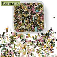 60G Natural Tourmaline Chip Beads, No Hole/Undrilled, 2~8x2~4mm(G-YW0001-69)