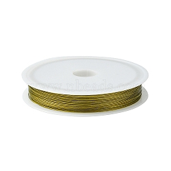 Tiger Tail Wire, Nylon-coated Stainless Steel, Gold, 25 Gauge(0.45mm), about 180.44 Feet(55m)/roll, 10 rolls/set(TWIR-R002-0.45mm-03)