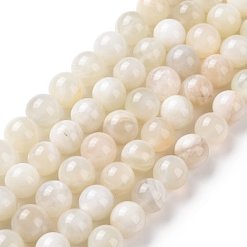 Natural White Moonstone Beads Strands, Round, 10mm, Hole: 0.8mm, about 38pcs/strand, 15.55 inch(39.5cm)