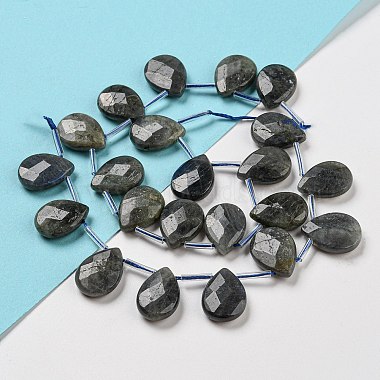 Natural Labradorite Beads Strands(G-D864-12B-01)-4