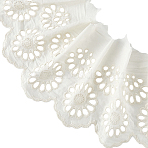 Flat Hollow Cotton Lace Trim, with Cardboard Display Card, White, 6-1/4 inch(160mm)(OCOR-FG0003-22A)