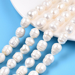 Natural Cultured Freshwater Pearl Beads Strands, Baroque Keshi Pearl Rice Beads, Seashell Color, 10~16x11~12mm, Hole: 0.7~0.8mm, about 27~28pcs/strand, 13.98 inch(35.5cm)(PEAR-N012-11A)