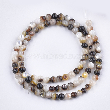 Black Lip Shell Beads Strands(X-SHEL-S274-92B)-2
