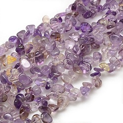 Natural Ametrine Beads Strands, Chips, 6~12x5~9x3~6mm, Hole: 1mm, about 60~75pcs/strand, 15~16 inch(G-P035-02)