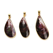 Natural Shell Pendants, Brass Teardrop Charms with Snap on Bails, Golden, 38~49x17~20x7~9mm, Hole: 6x4mm(SHEL-D080-01G)