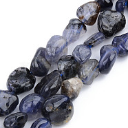Natural Kyanite/Cyanite/Disthene Beads Strands, Tumbled Stone, Nuggets, 5~13x5~10x3~8mm, Hole: 1mm, about 40~60pcs/strand, 14.57 inch~15.74 inch(37~40cm)(G-S359-152)