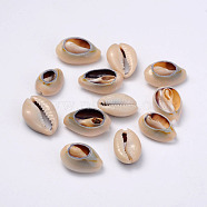 Natural Cowrie Shell Beads, Oval, Dark Khaki, 20~23x14~20x9~13mm(BSHE-Q295-4)
