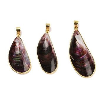Natural Shell Pendants, Brass Teardrop Charms with Snap on Bails, Golden, 38~49x17~20x7~9mm, Hole: 6x4mm