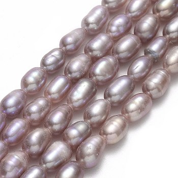 Natural Cultured Freshwater Pearl Beads Strands, Rice, Rosy Brown, 4.5~5.5x3.5~4.5mm, Hole: 0.6mm, about 62~66pcs/strand, 13.39"(34cm)