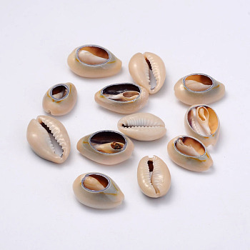 Natural Cowrie Shell Beads, Oval, Dark Khaki, 20~23x14~20x9~13mm