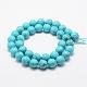 Synthetic Turquoise Bead Strands(G-G671-8mm)-2