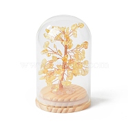 Natural Yellow Quartz Chips Money Tree in Dome Glass Bell Jars with Wood Base Display Decorations, for Home Office Decor Good Luck, 71x114mm(DJEW-B007-04F)