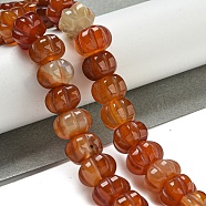 Natural Red Agate Beads Strands, Pumpkin, 12x7.5~8mm, Hole: 1.4mm, about 25pcs/strand, 7.48~7.87''(19~20cm)(G-G142-A17-01)