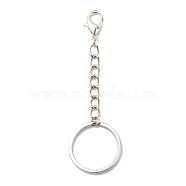 304 Stainless Steel Keychain, with Iron Twisted Chains Curb Chains, Zinc Alloy Lobster Claw Clasps, Platinum, 7.9cm(KEYC-JKC00333-01)