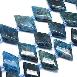 Natural Apatite Bead Strands, Faceted, Rhombus, 21~32x10~18x5~7mm, Hole: 0.6~0.8mm, about 20~25pcs/strand, 15 inch~15.7 inch(38~40cm)(G-O179-H27)
