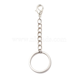 304 Stainless Steel Keychain, with Iron Twisted Chains Curb Chains, Zinc Alloy Lobster Claw Clasps, Platinum, 7.9cm(KEYC-JKC00333-01)