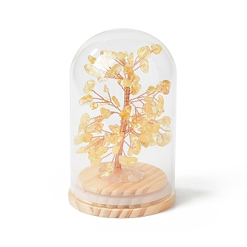 Natural Yellow Quartz Chips Money Tree in Dome Glass Bell Jars with Wood Base Display Decorations, for Home Office Decor Good Luck, 71x114mm