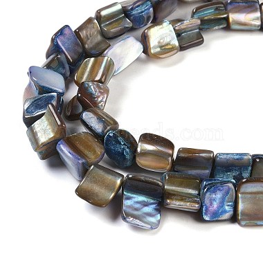 Dyed Natural Freshwater Shell Beads Strands(SHEL-P016-01B)-3