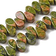 Natural Unakite Beads Strands, Teardrop, Top Drilled, 9~10x5~5.5x3.5~4mm, Hole: 0.7mm, about 40~48pcs/strand, 7.09~7.28''(18~18.5cm).(G-B064-B10)
