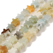 Natural Flower Amazonite Beads Strands, Star, 6x5.5x2mm, Hole: 0.8mm, about 75pcs/strand, 14.57 inch(37cm)(G-G085-B09-02)