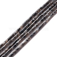 Natural Larvikite Beads Strands, Column, 9~10.5x3mm, Hole: 0.9~1mm,  about 40~43pcs/strand, 15.35 inch~15.55 inch(39~39.5cm)(G-A201-B01)