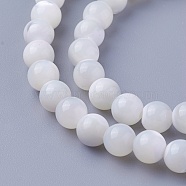 Shell Beads Strands, Round, 6~6.2mm, Hole: 1mm, about 65pcs/strand, 15 inch(38cm)(SSHEL-E571-39-6mm)