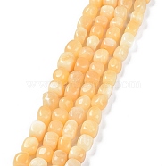 Natural Topaz Jade Beads Strands, Nuggets Tumbled Stone, 6.5~15x7~14x7~14mm, Hole: 1~1.4mm, about 32~33pcs/strand, 15.16~ 15.75 inch(38.5~40cm)(G-C038-02P)