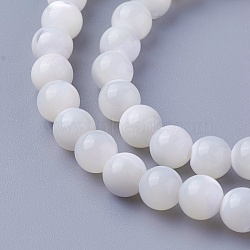 Shell Beads Strands, Round, 6~6.2mm, Hole: 1mm, about 65pcs/strand, 15 inch(38cm)(SSHEL-E571-39-6mm)