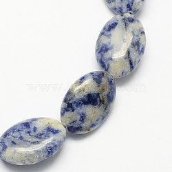Flat Oval Gemstone Natural Blue Spot Jasper Beads Strands, Royal Blue, 18x13x6mm, Hole: 2mm, about 22pcs/strand, 15.7 inch(G-S113-08)